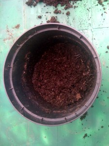 Feel free to use image as long as you credit http://www.groweatgift.com