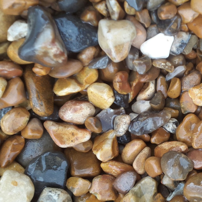 2016-06-18 11.37.42.jpg