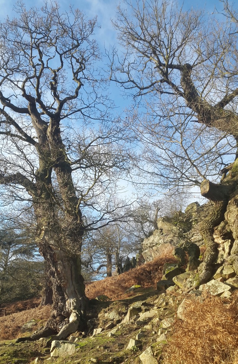 2017-01-14 14.56.24.jpg