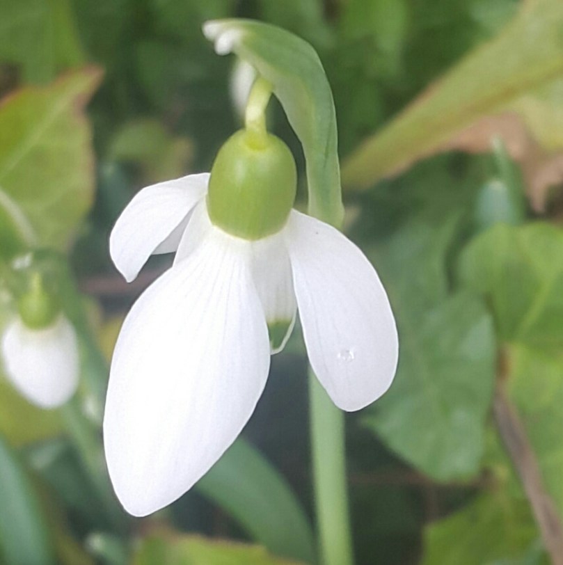 2017-02-03 15.35.45.jpg