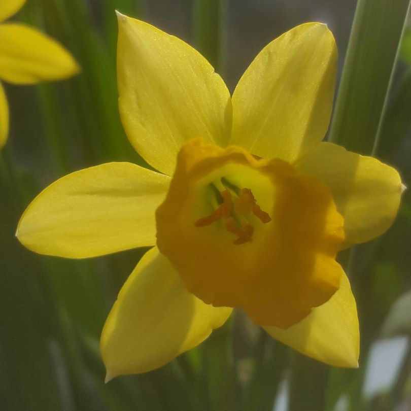 2017-03-06 21.57.35.jpg