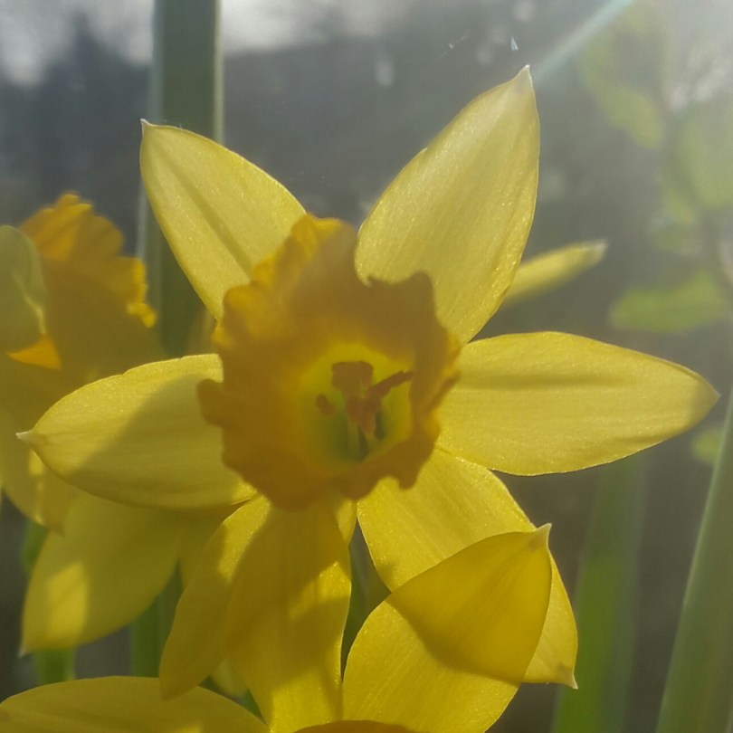 2017-03-06 21.58.24.jpg