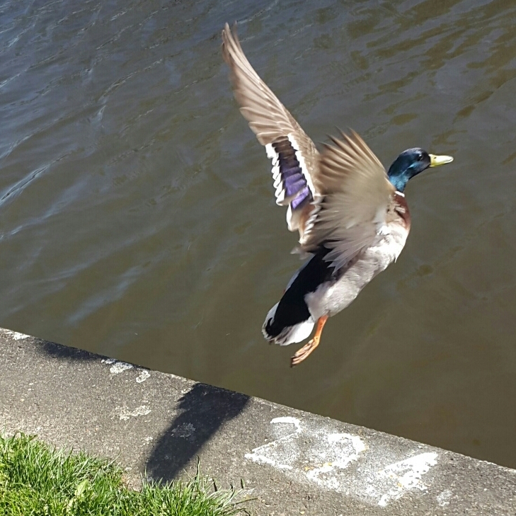 2017-02-13 02.07.11.jpg