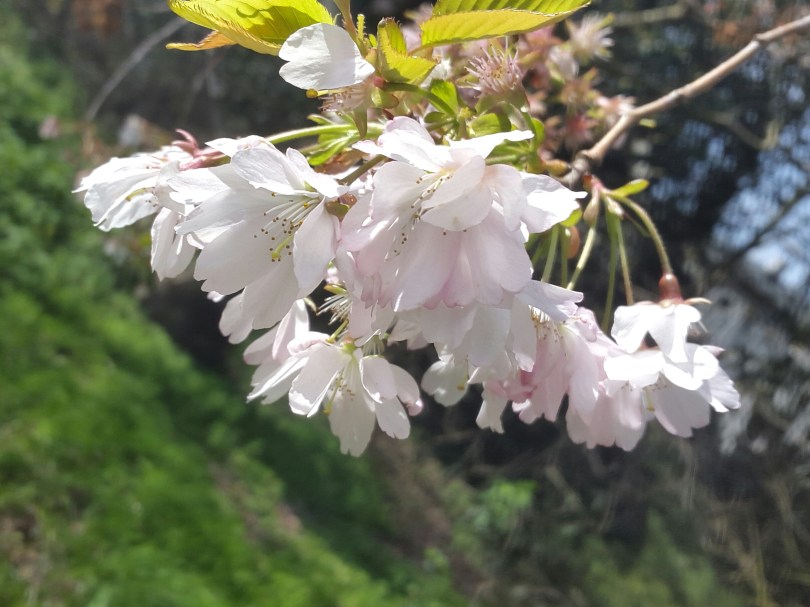 2017-03-30 18.32.05.jpg