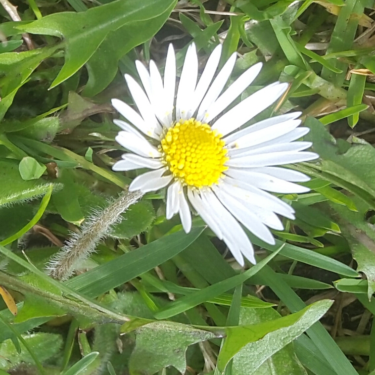 2017-04-01 16.12.20.jpg