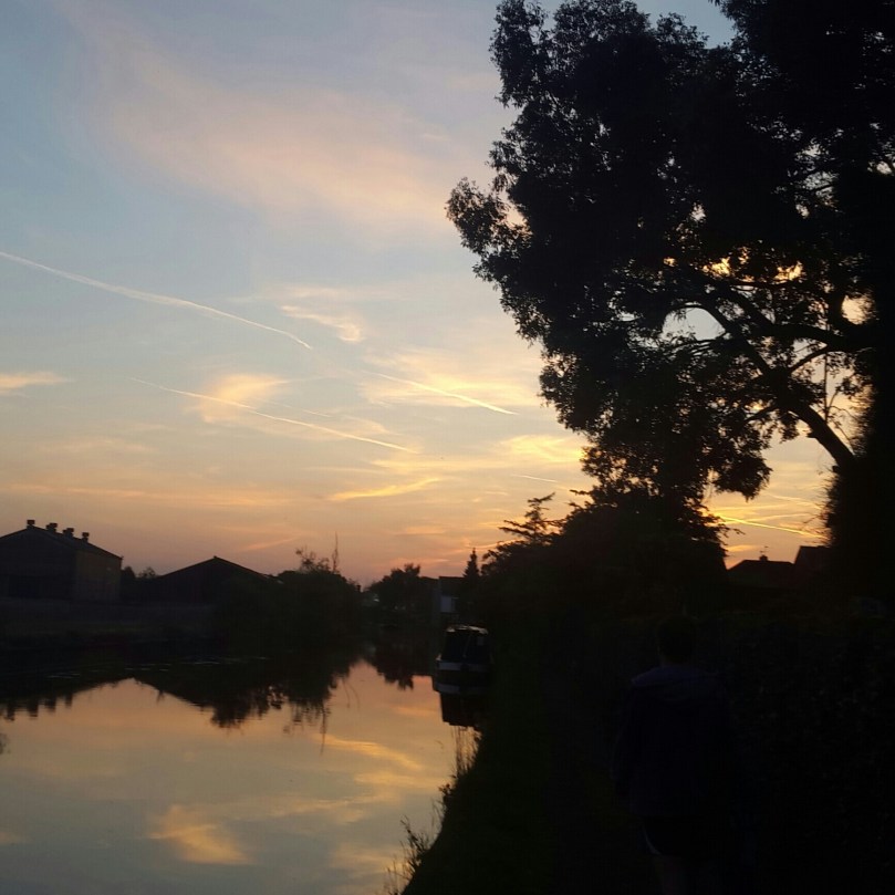 2016-11-16 13.59.50.jpg