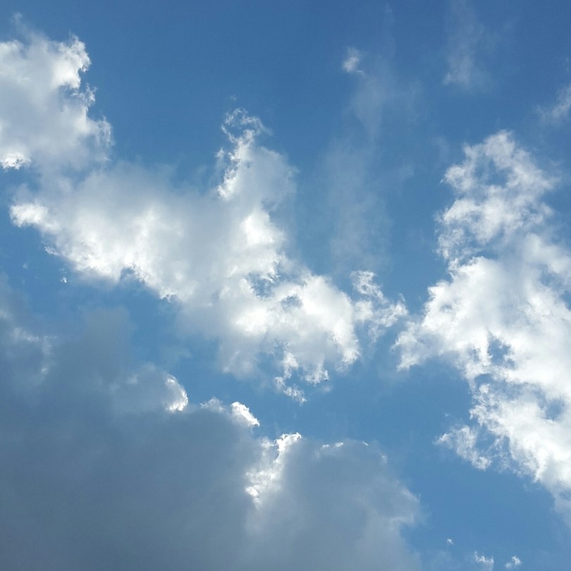 2017-05-31 19.19.25.jpg