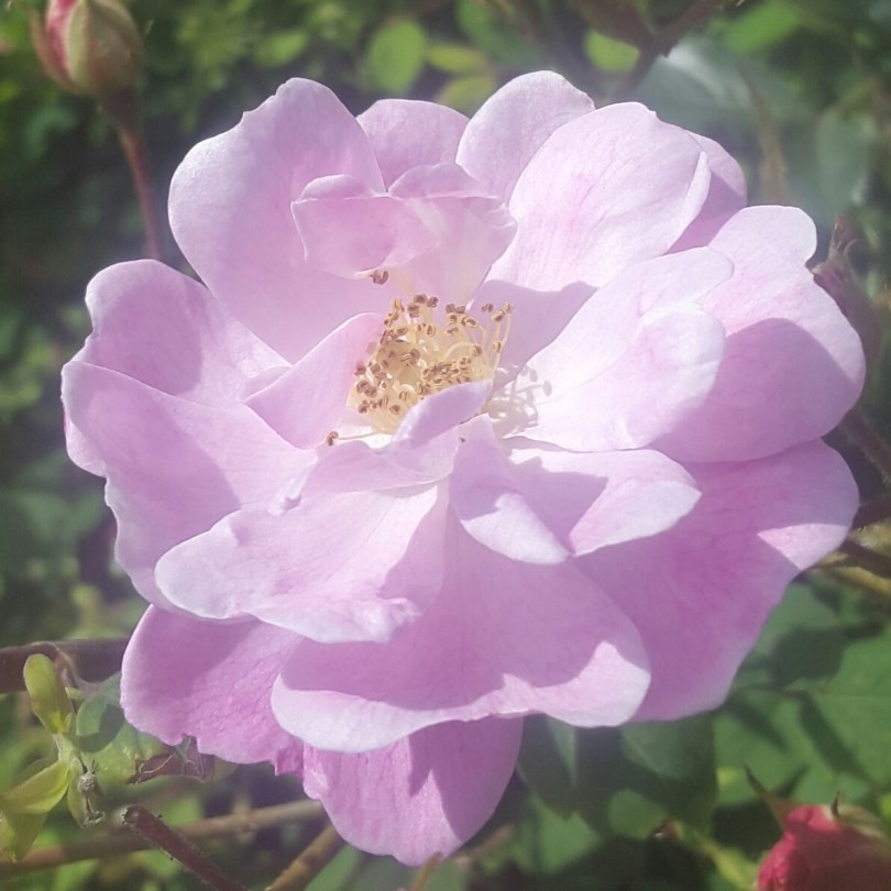 2017-06-01 17.28.59.jpg