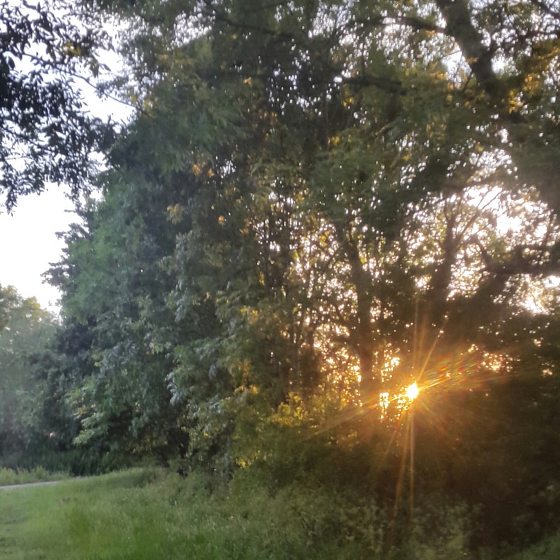 2017-06-04 20.53.50.jpg