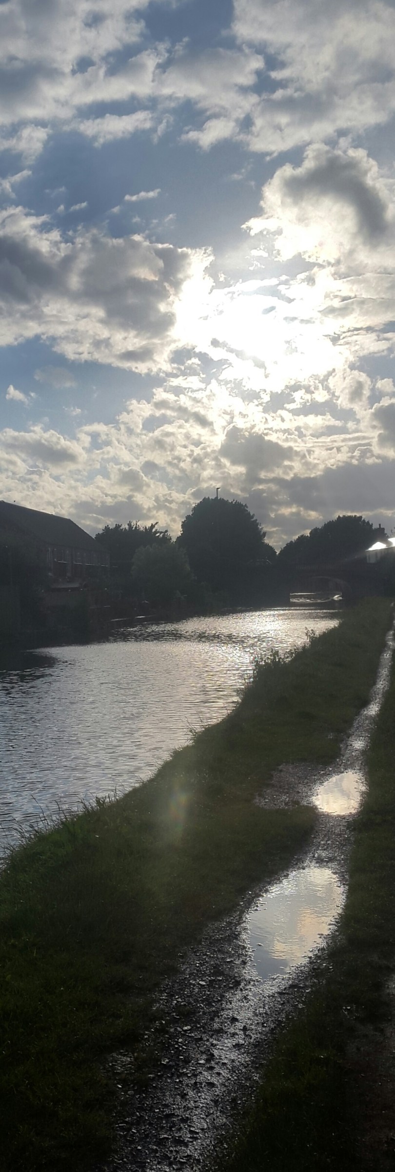 2017-06-06 23.19.54.jpg