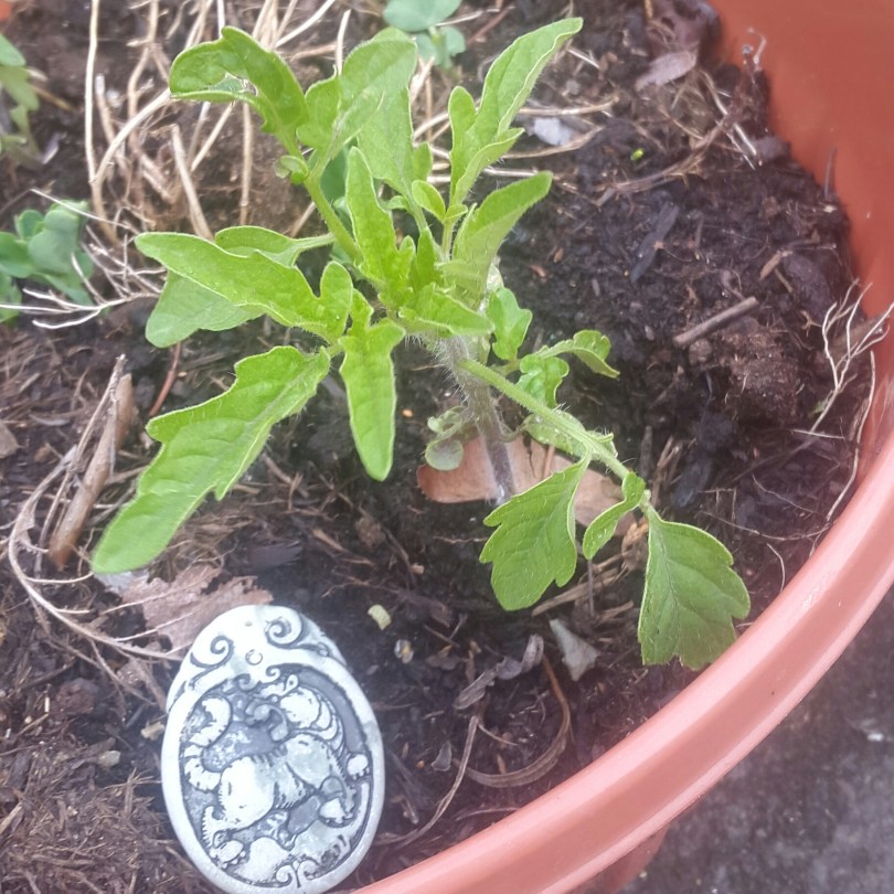 2017-06-07 23.01.16.jpg