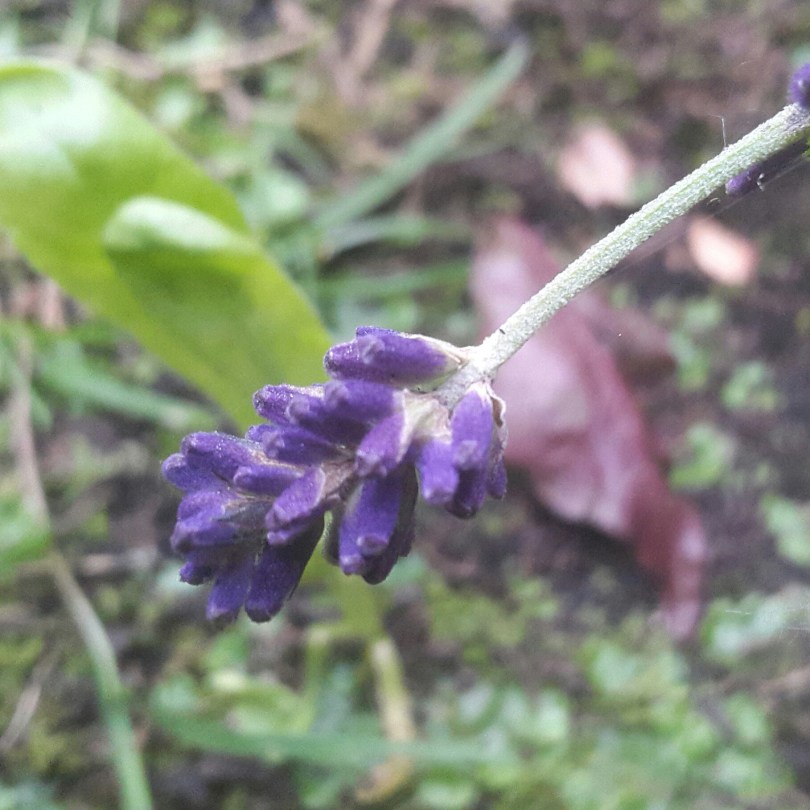 2017-06-09 21.03.13.jpg