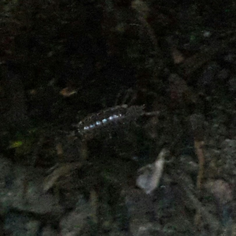 2017-06-11 21.44.51.jpg