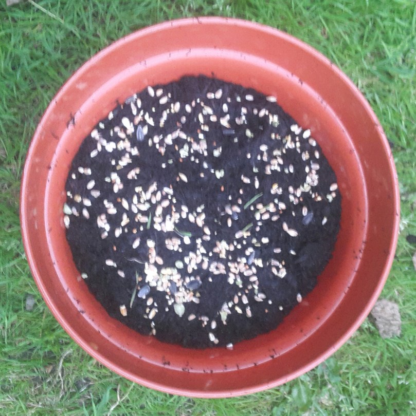 2017-06-11 21.47.37.jpg