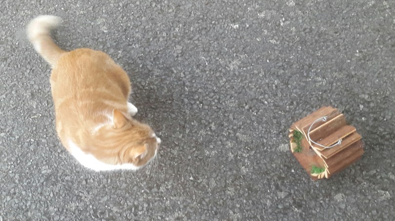 2017-06-11 21.57.35.jpg