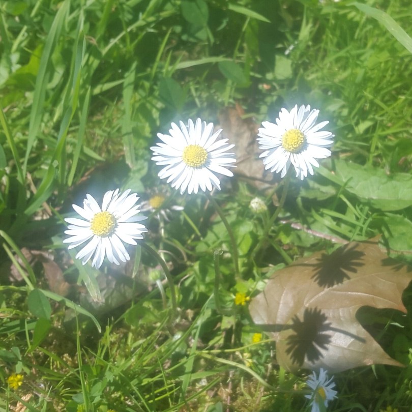 2017-06-14 13.40.30.jpg