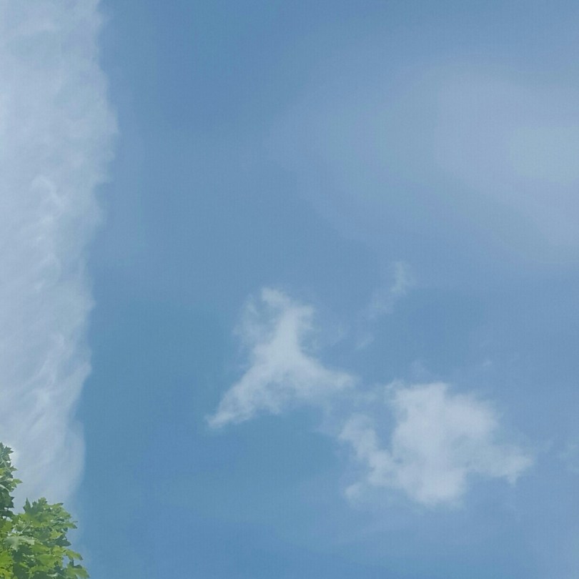 2017-06-14 13.49.04.jpg