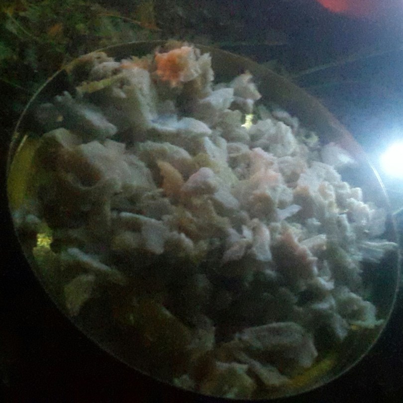 2017-06-17 03.08.18.jpg