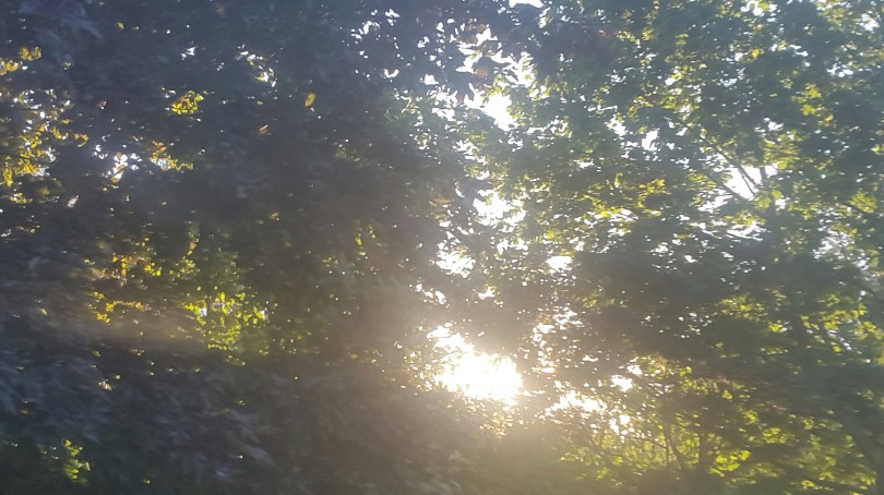 2017-06-17 20.30.56.jpg