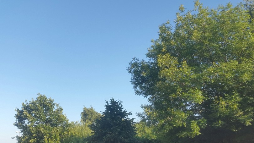 2017-06-17 20.41.28.jpg