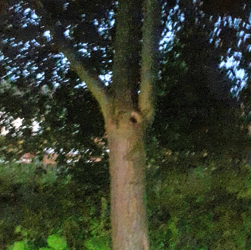 2017-06-18 23.58.36.jpg