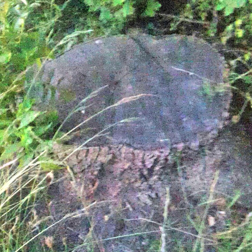 2017-06-19 00.00.44.jpg