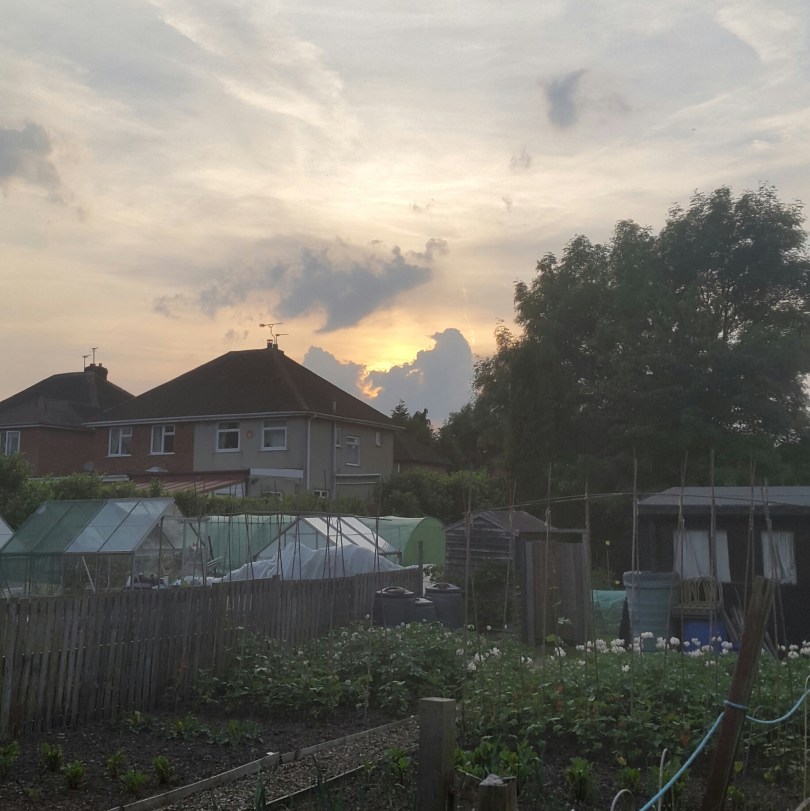 2017-06-19 21.44.59.jpg