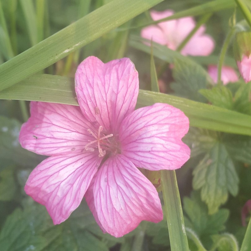 2017-06-19 22.01.56.jpg