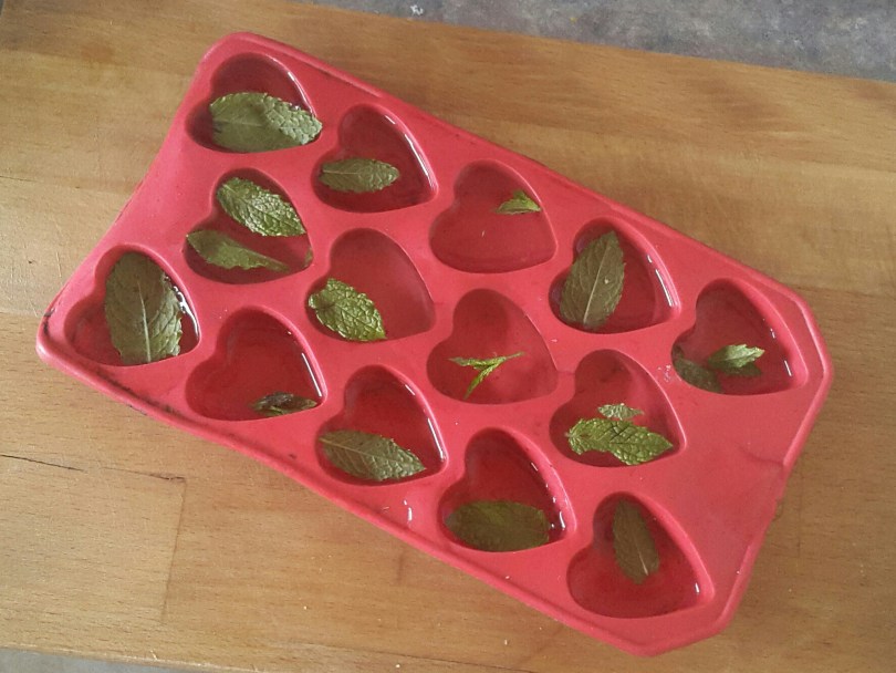 2017-06-21 19.41.38.jpg