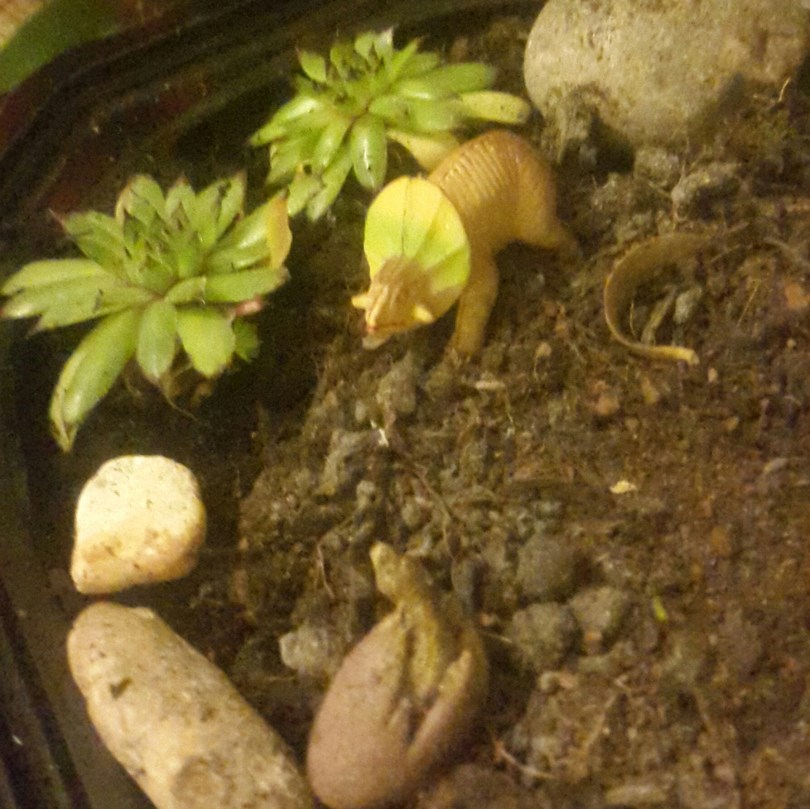 2017-06-23 03.13.22.jpg