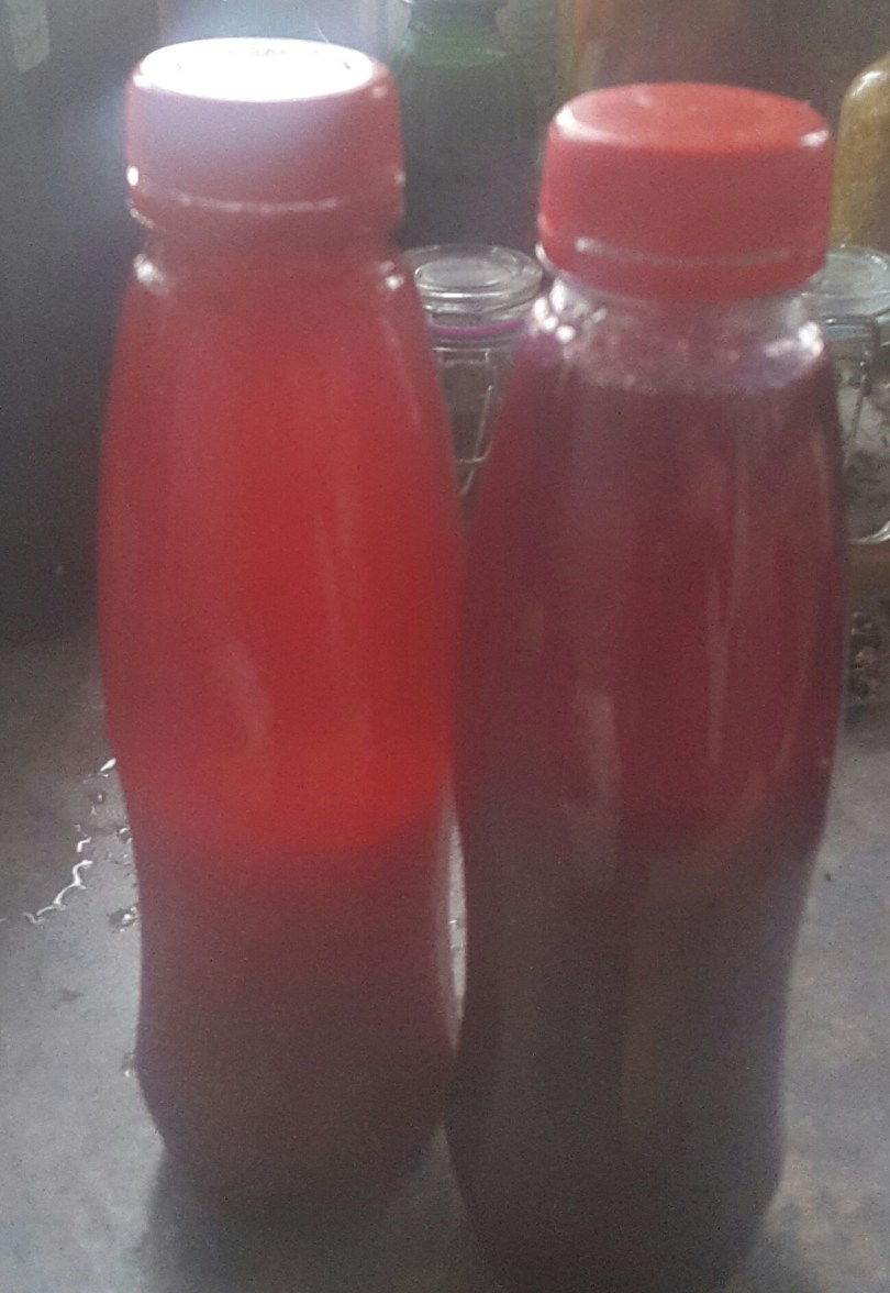 2017-06-23 06.59.20.jpg