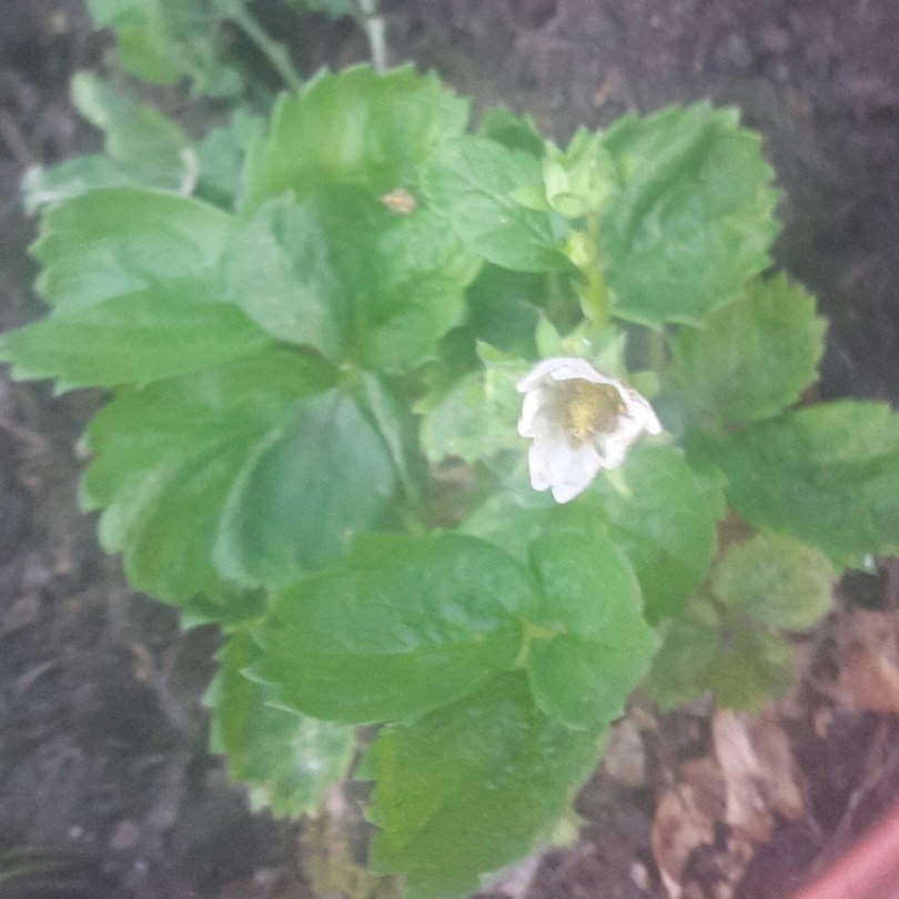 2017-06-23 07.03.39.jpg