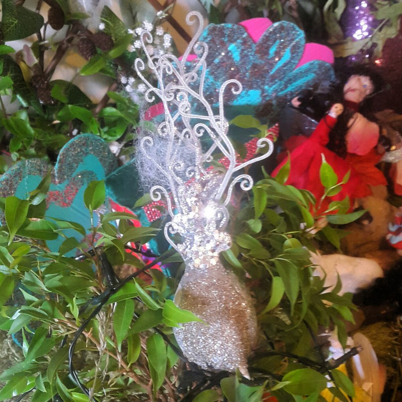 2017-06-24 15.22.17.jpg