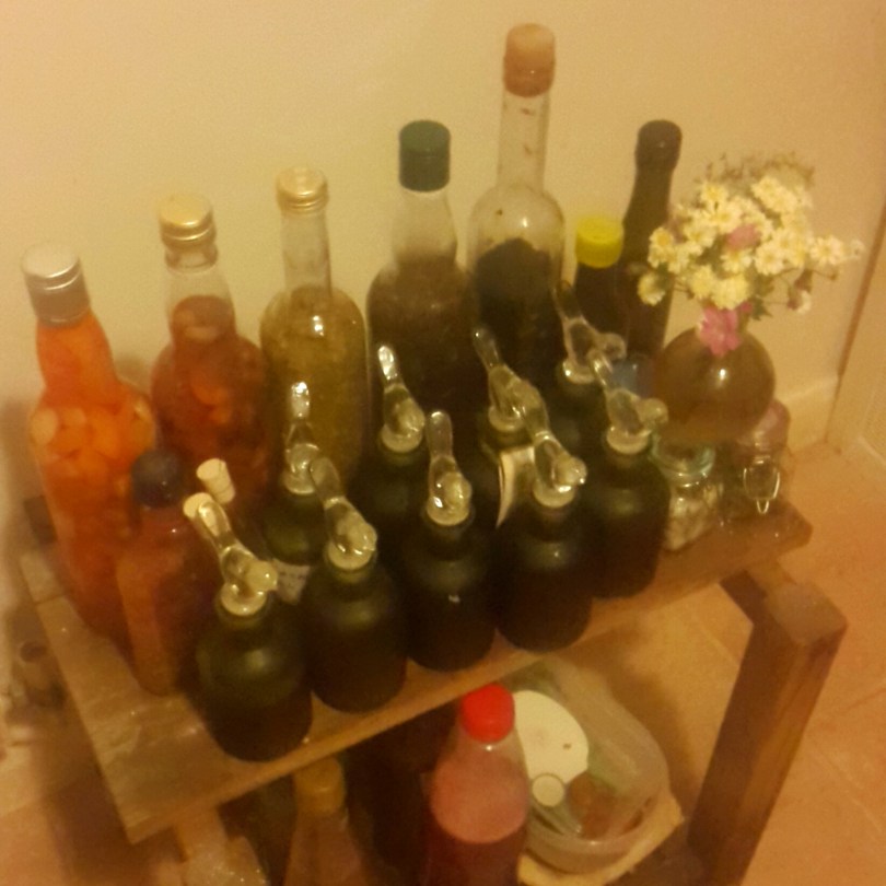 2017-06-26 01.20.07.jpg