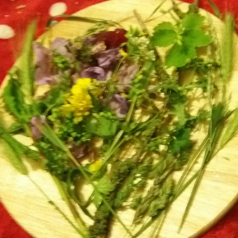 20170607_011811.jpg