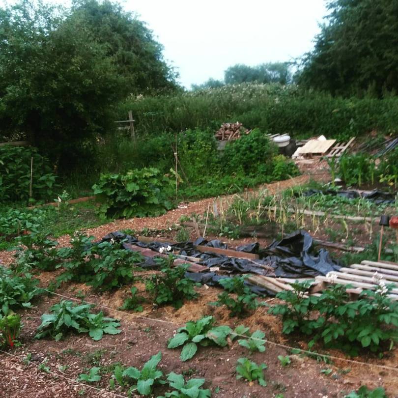 IMG_20170622_004417_644