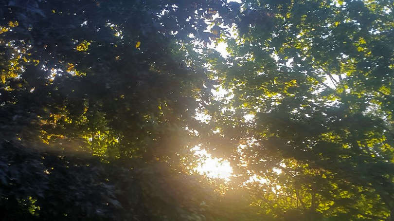 2017-06-26 01.42.12.jpg