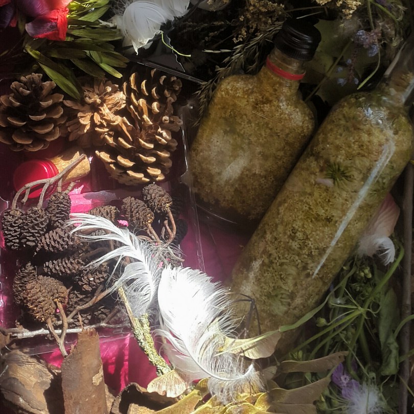 2017-06-27 02.33.57.jpg