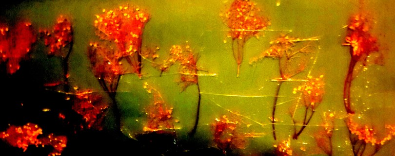 2017-06-27 14.01.57.jpg