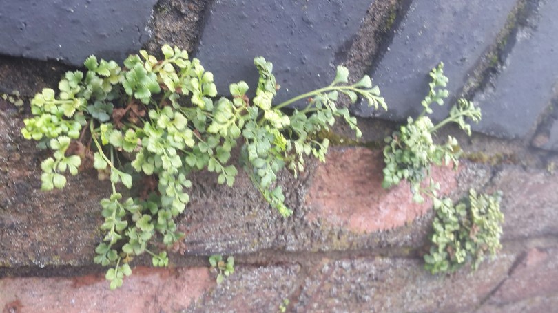 2017-07-01 00.45.00.jpg