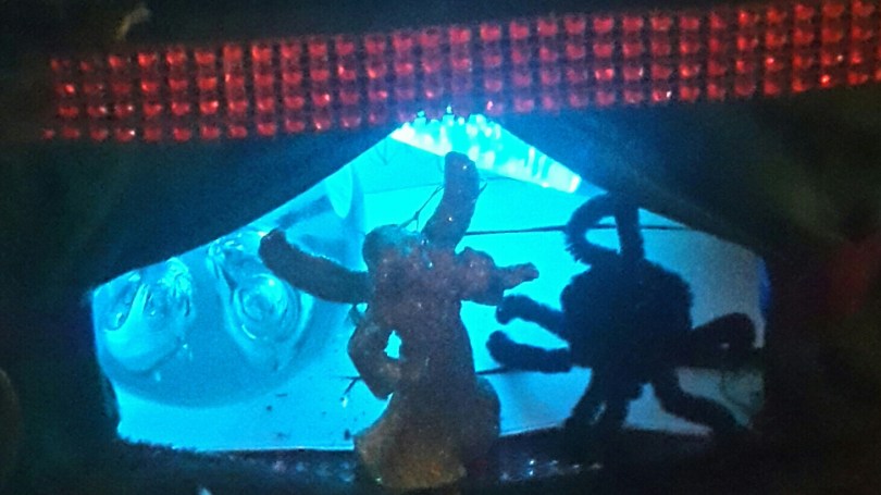 2017-07-04 05.24.40.jpg