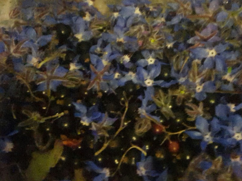 2017-07-04 22.12.05.jpg