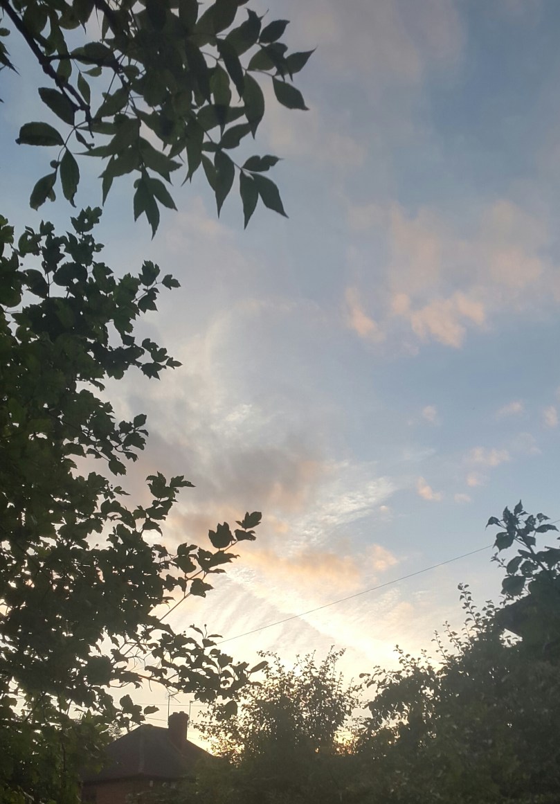 2017-07-04 22.13.25.jpg