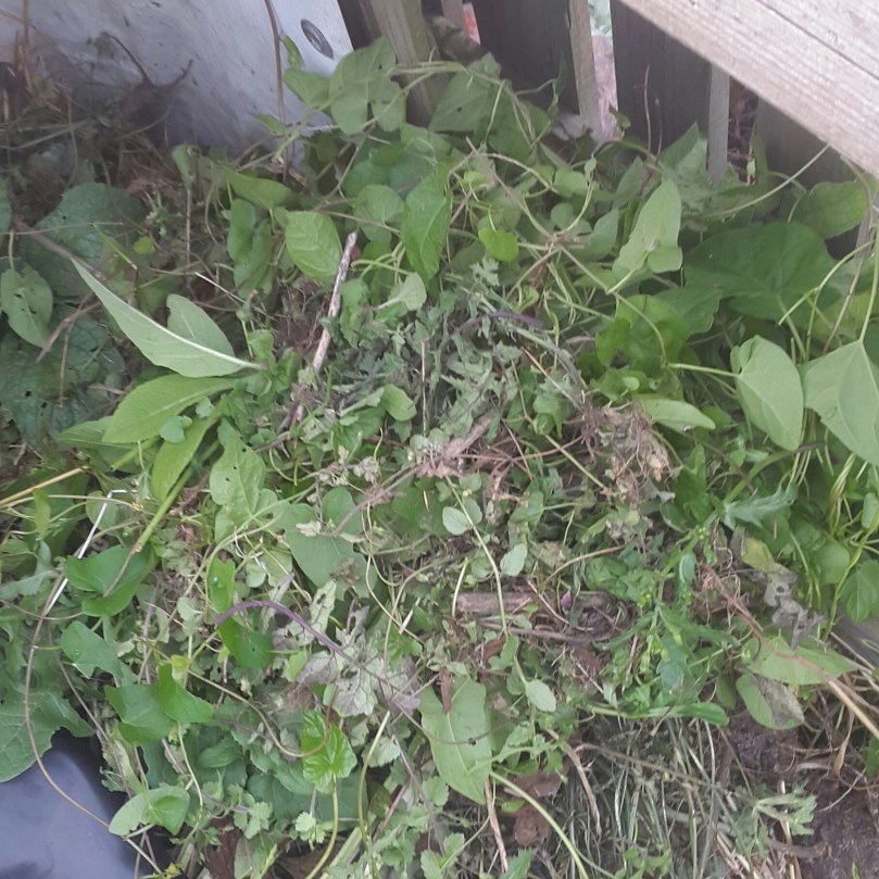 2017-07-04 22.24.25.jpg