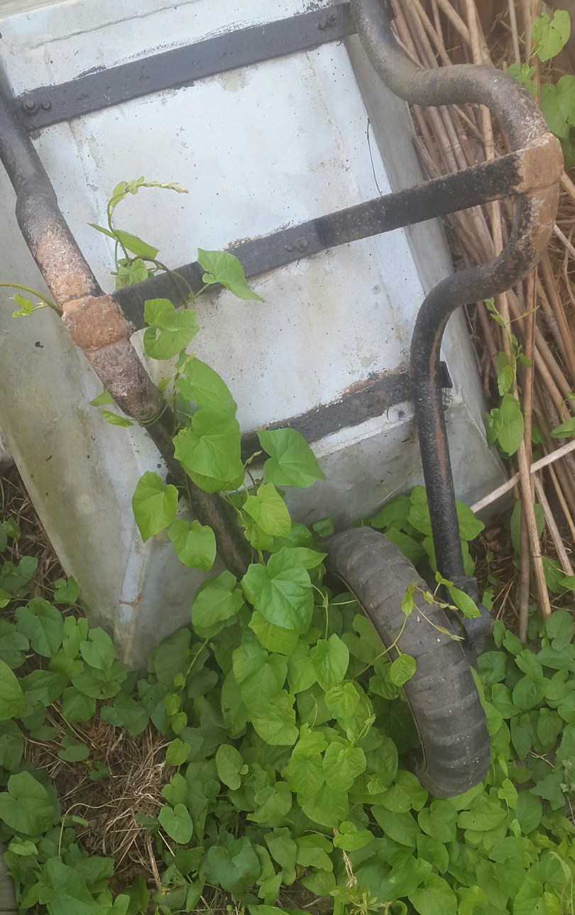 2017-07-04 22.28.13.jpg