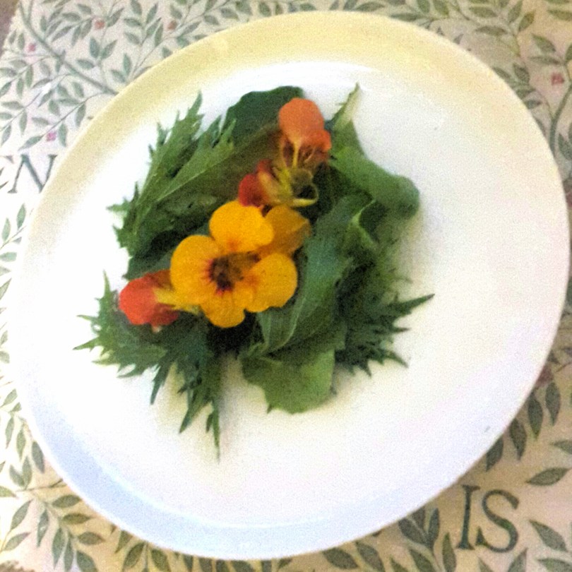 2017-07-05 04.33.15.jpg