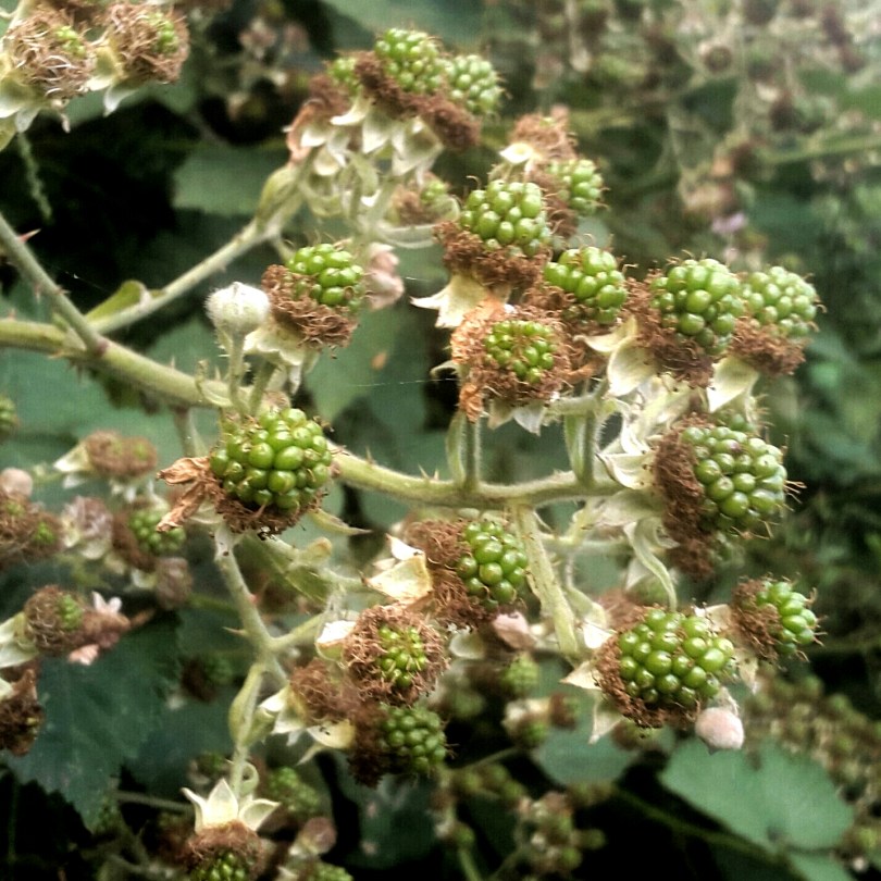 2017-07-07 03.28.27.jpg