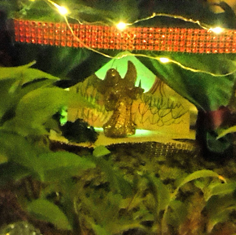 2017-07-09 04.59.12.jpg