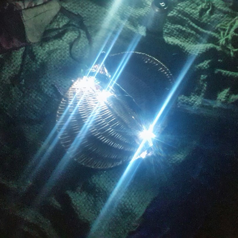 2017-07-15 19.00.18.jpg