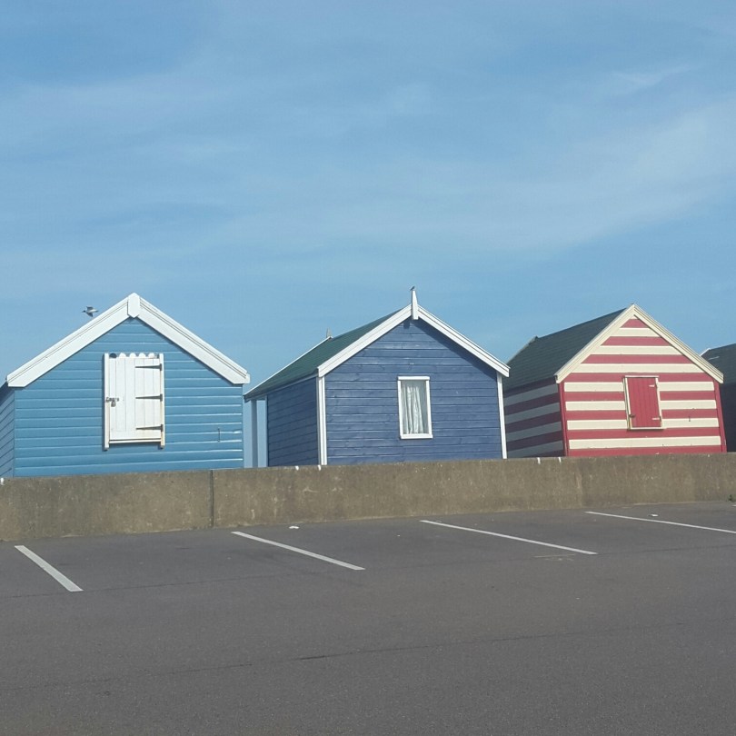 2017-07-17 20.32.09.jpg